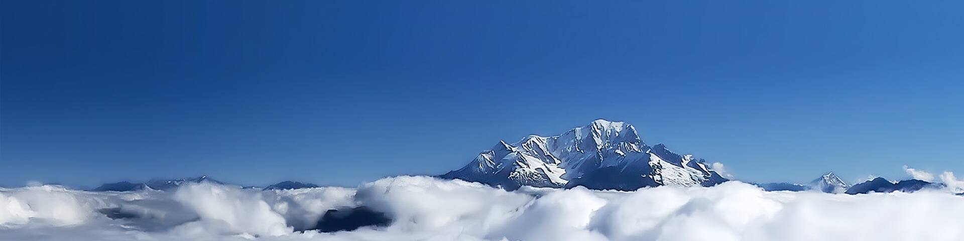 走进金年会|金年会·